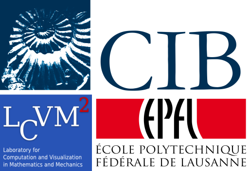 CIB Semester: Multi-scale Mathematical Modelling and Coarse-grain Computational Chemistry