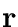 ${\bf r}$