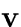 $\v$