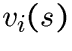 $v_i(s)$