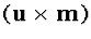 $(\u\times{\bf m})$