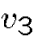 $v_3$