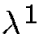 $\lambda^1$