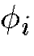 $\phi_{i}$