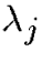 $\lambda_j$